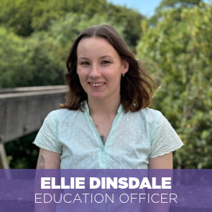 Ellie Dinsdale